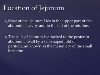 Location of Jejunum
 Most of the jejunum Lies in the upper part of the
abdominal cavity and to the left of the midline.
 The coils of jejunum is attached to the posterior
abdominal wall by a fan-shaped fold of
peritoneum known as the mesentery of the small
intestine.
 