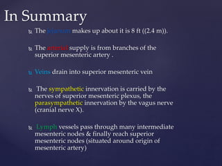  The jejunum makes up about it is 8 ft ((2.4 m)).
 The arterial supply is from branches of the
superior mesenteric artery .
 Veins drain into superior mesenteric vein
 The sympathetic innervation is carried by the
nerves of superior mesenteric plexus, the
parasympathetic innervation by the vagus nerve
(cranial nerve X).
 Lymph vessels pass through many intermediate
mesenteric nodes & finally reach superior
mesenteric nodes (situated around origin of
mesenteric artery)
In Summary
 