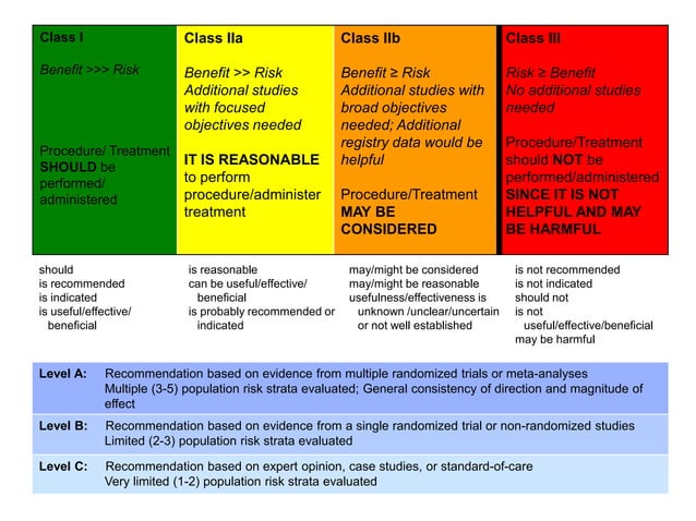 2010 Guidelines for Management of Spontaneous ICH