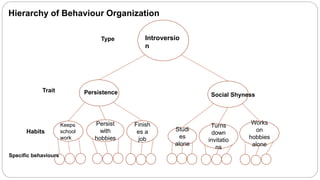 Hierarchy of Behaviour Organization 
Type 
Persist 
with 
hobbies 
Finish 
es a 
job 
Keeps 
school 
work 
Studi 
es 
alone 
Works 
on 
hobbies 
alone 
Turns 
down 
invitatio 
ns 
Introversio 
n 
Persistence Social Shyness 
Trait 
Habits 
Specific behaviours 
 