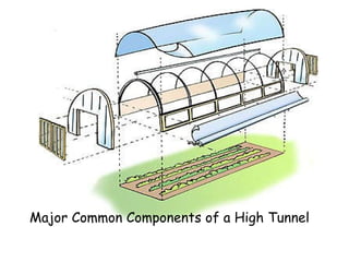 Major Common Components of a High Tunnel 