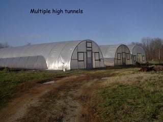 Multiple high tunnels  