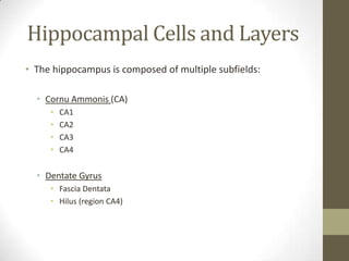 Hippocampal Cells and Layers
• The hippocampus is composed of multiple subfields:

  • Cornu Ammonis (CA)
     •   CA1
     •   CA2
     •   CA3
     •   CA4


  • Dentate Gyrus
     • Fascia Dentata
     • Hilus (region CA4)
 