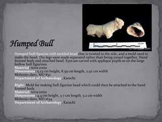  Humped bull figurine with molded head that is twisted to the side, and a mold used to 
make the head. The legs were made separated rather than being joined together. Hand 
formed body and attached head. Eyes are carved with appliqué pupils as on the large 
hollow bull figurines. 
Material: terra cotta 
Dimensions: 5.23 cm height, 8.59 cm length, 2.92 cm width 
Mohenjo-daro, MD 832 
Department of Archaeology, Karachi 
Right: Mold for making bull figurine head which could then be attached to the hand 
formed body. 
Material: terra cotta 
Dimensions: 4.4 cm height, 3.7 cm length, 3.2 cm width 
Mohenjo-daro, MD 1634 
Department of Archaeology, Karachi 
 