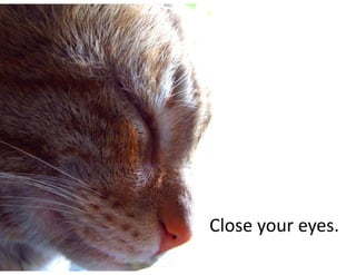 Close	your	eyes.
 