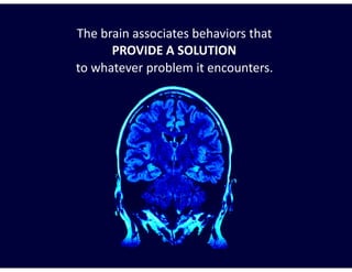 The	brain	associates	behaviors	that	 
PROVIDE	A	SOLUTION 
to	whatever	problem	it	encounters.
 