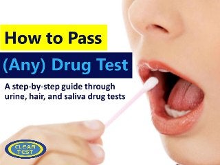 How to Pass (Any) Drug Test