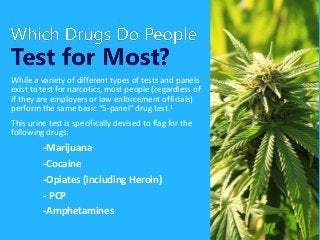 While a variety of different types of tests and panels
exist to test for narcotics, most people (regardless of
if they are employers or law enforcement officials)
perform the same basic “5-panel” drug test.1
This urine test is specifically devised to flag for the
following drugs:
-Marijuana
-Cocaine
-Opiates (including Heroin)
- PCP
-Amphetamines
 