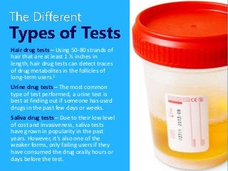 Hair drug tests – Using 50-80 strands of
hair that are at least 1 ½ inches in
length, hair drug tests can detect traces
of drug metabolites in the follicles of
long-term users.2
Urine drug tests – The most common
type of test performed, a urine test is
best at finding out if someone has used
drugs in the past few days or weeks.
Saliva drug tests – Due to their low level
of cost and invasiveness, saliva tests
have grown in popularity in the past
years. However, it’s also one of the
weaker forms, only failing users if they
have consumed the drug orally hours or
days before the test.
 