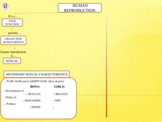 HUMAN
REPRODUCTION
It’s a…
VITAL
FUNCTION
permits…
CREATE NEW
HUMAN BEINGS
human reproduction
is…
SEXUAL
SECONDARY SEXUAL CHARACTERISTICS
.- PUBIC HAIR and in ARMPIT HAIR. (Boys & girls)
BOYS: GIRLS:
.-Development of:
.- MUSCLES .- BREASTS
.-Widen of:
.- SHOULDERS .- HIPS
.- Produce:
.- SPERM .-
 