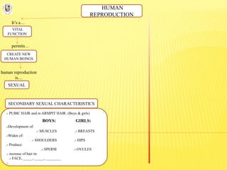 HUMAN
REPRODUCTION
It’s a…
VITAL
FUNCTION
permits…
CREATE NEW
HUMAN BEINGS
human reproduction
is…
SEXUAL
SECONDARY SEXUAL CHARACTERISTICS
.- PUBIC HAIR and in ARMPIT HAIR. (Boys & girls)
BOYS: GIRLS:
.-Development of:
.- MUSCLES .- BREASTS
.-Widen of:
.- SHOULDERS .- HIPS
.- Produce:
.- SPERM .- OVULES
.- increase of hair in:
.- FACE, _____, _____, ________
.-
 