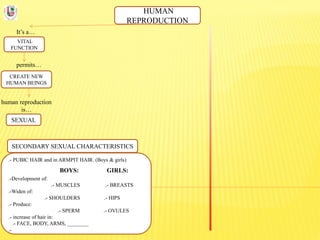 HUMAN
REPRODUCTION
It’s a…
VITAL
FUNCTION
permits…
CREATE NEW
HUMAN BEINGS
human reproduction
is…
SEXUAL
SECONDARY SEXUAL CHARACTERISTICS
.- PUBIC HAIR and in ARMPIT HAIR. (Boys & girls)
BOYS: GIRLS:
.-Development of:
.- MUSCLES .- BREASTS
.-Widen of:
.- SHOULDERS .- HIPS
.- Produce:
.- SPERM .- OVULES
.- increase of hair in:
.- FACE, BODY, ARMS, ________
.-
 