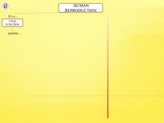 HUMAN
REPRODUCTION
It’s a…
VITAL
FUNCTION
permits…
 