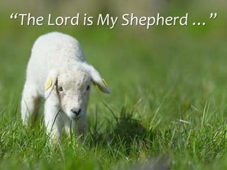 “The Lord is My Shepherd …”
 