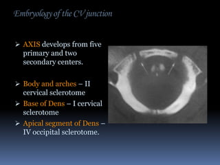 Embryology of the CV junction
 AXIS develops from five

primary and two
secondary centers.
 Body and arches – II

cervical sclerotome
 Base of Dens – I cervical
sclerotome
 Apical segment of Dens –
IV occipital sclerotome.

 