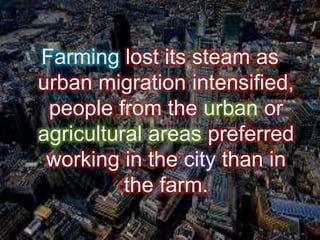 Farming lost its steam as
urban migration intensified,
people from the urban or
agricultural areas preferred
working in the city than in
the farm.
 