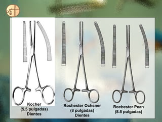 Kocher (5.5 pulgadas) Dientes Rochester Ochsner (8 pulgadas) Dientes Rochester Pean (8.5 pulgadas) 