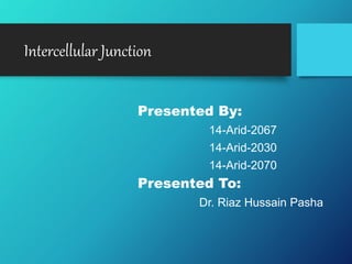 Intercellular Junction
Presented By:
14-Arid-2067
14-Arid-2030
14-Arid-2070
Presented To:
Dr. Riaz Hussain Pasha
 