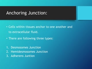 Anchoring Junction:
• Cells within tissues anchor to one another and
to extracellular fluid.
• There are following three types:
1. Desmosomes Junction
2. Hemidesmosomes Junction
3. Adherens Juntion
 