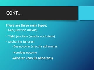 CONT…
There are three main types:
• Gap junction (nexus).
• Tight junction (zonula occludens)
• Anchoring junction
-Desmosome (macula adherens)
-Hemidesmosome
-Adheren (zonula adherens)
 