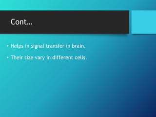 Cont…
• Helps in signal transfer in brain.
• Their size vary in different cells.
 