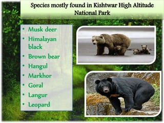 Species mostly found in Kishtwar High Altitude
National Park
• Musk deer
• Himalayan
black
• Brown bear
• Hangul
• Markhor
• Goral
• Langur
• Leopard
 