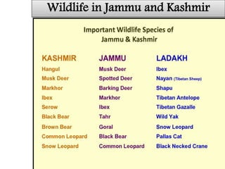 Wildlife in Jammu and Kashmir
 