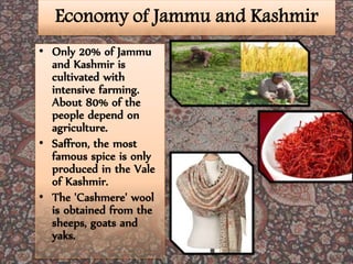 Economy of Jammu and Kashmir
• Only 20% of Jammu
and Kashmir is
cultivated with
intensive farming.
About 80% of the
people depend on
agriculture.
• Saffron, the most
famous spice is only
produced in the Vale
of Kashmir.
• The 'Cashmere' wool
is obtained from the
sheeps, goats and
yaks.
 