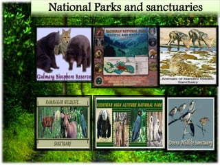 National Parks and sanctuaries
 