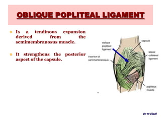 OBLIQUE POPLITEAL LIGAMENT
 Is a tendinous expansion
derived from the
semimembranosus muscle.
 It strengthens the posterior
aspect of the capsule.
Dr M Eladl
 