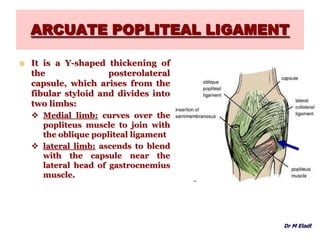 ARCUATE POPLITEAL LIGAMENT
 It is a Y-shaped thickening of
the posterolateral
capsule, which arises from the
fibular styloid and divides into
two limbs:
 Medial limb: curves over the
popliteus muscle to join with
the oblique popliteal ligament
 lateral limb: ascends to blend
with the capsule near the
lateral head of gastrocnemius
muscle.
Dr M Eladl
 