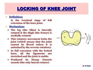 LOCKING OF KNEE JOINT
 Definition:
Is the terminal stage of full
extension of the knee joint.
 Mechanism:
 The leg (the tibia) is laterally
rotated & the thigh (the femur) is
medially rotated.
 This rotatory movement locks the
joint (which means that the joint
cannot be flexed unless it is
unlocked by the reverse rotation).
 In full extension with the locked
knee, all the ligaments are
stretched and the joint is stable.
 Produced by biceps femoris
muscle (the only lateral rotator)
Dr M Eladl
 