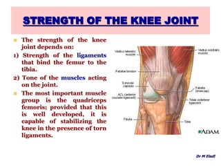 STRENGTH OF THE KNEE JOINT
 The strength of the knee
joint depends on:
1) Strength of the ligaments
that bind the femur to the
tibia.
2) Tone of the muscles acting
on the joint.
 The most important muscle
group is the quadriceps
femoris; provided that this
is well developed, it is
capable of stabilizing the
knee in the presence of torn
ligaments.
Dr M Eladl
 