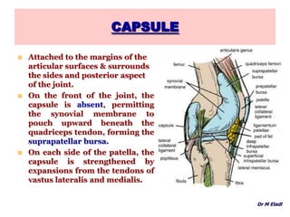 CAPSULE
 Attached to the margins of the
articular surfaces & surrounds
the sides and posterior aspect
of the joint.
 On the front of the joint, the
capsule is absent, permitting
the synovial membrane to
pouch upward beneath the
quadriceps tendon, forming the
suprapatellar bursa.
 On each side of the patella, the
capsule is strengthened by
expansions from the tendons of
vastus lateralis and medialis.
Dr M Eladl
 