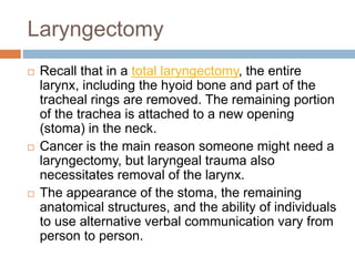 Laryngectomy
 Recall that in a total laryngectomy, the entire
larynx, including the hyoid bone and part of the
tracheal rings are removed. The remaining portion
of the trachea is attached to a new opening
(stoma) in the neck.
 Cancer is the main reason someone might need a
laryngectomy, but laryngeal trauma also
necessitates removal of the larynx.
 The appearance of the stoma, the remaining
anatomical structures, and the ability of individuals
to use alternative verbal communication vary from
person to person.
 