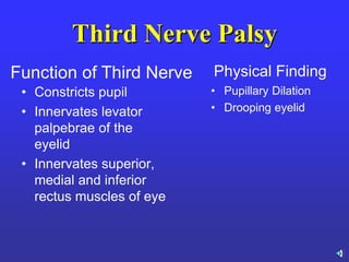 Third Nerve Palsy
• Constricts pupil
• Innervates levator
palpebrae of the
eyelid
• Innervates superior,
medial and inferior
rectus muscles of eye
• Pupillary Dilation
• Drooping eyelid
Function of Third Nerve Physical Finding
 