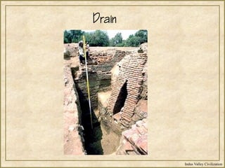 Indus Valley Civilization
Drain
 