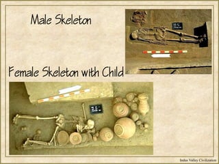 Indus Valley Civilization
Male Skeleton
Female Skeleton with Child
 