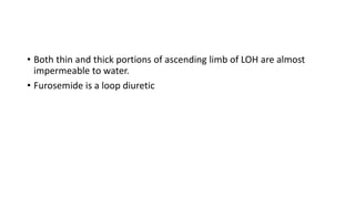 Loop of henle, a part of nehron of kidney | PPT