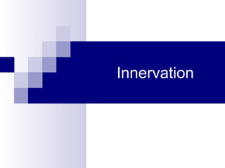 Innervation
 