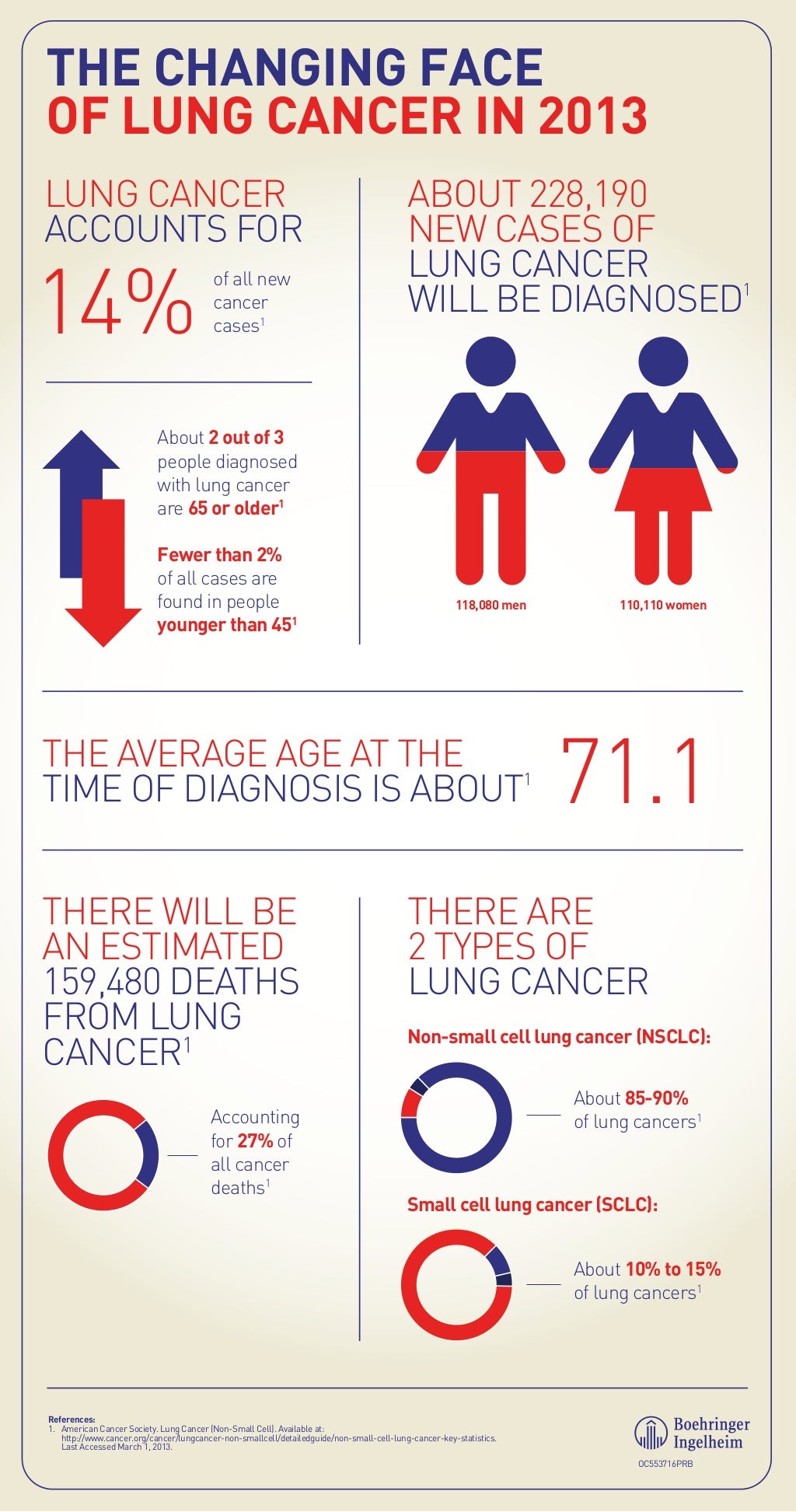 Lung cancer infographic