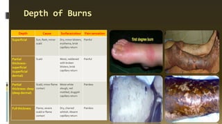 Depth of Burns
Depth Cause Surface/colour Pain sensation
Superficial Sun, flash, minor
scald
Dry, minor blisters,
erythema, brisk
capillary return
Painful
Partial
thickness-
superficial
(superficial
dermal)
Scald Moist, reddened
with broken
blisters, brisk
capillary return
Painful
Partial
thickness- deep
(deep dermal)
Scald, minor flame
contact
Moist white
slough, red
mottled, sluggish
capillary return
Painless
Full thickness Flame, severe
scald or flame
contact
Dry, charred
whitish.Absent
capillary return
Painless
 