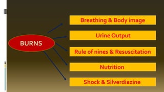 BURNS
Breathing & Body image
Urine Output
Rule of nines & Resuscitation
Nutrition
Shock & Silverdiazine
 