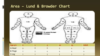 Area – Lund & Browder Chart
Age-yrs 0 1 5 10 15 Adult
A-Head 9 8 6 5 4 3
B-Thigh 2 3 4 4 4 4
C-Leg 2 2 3 3 3 3
 