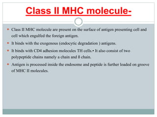 Class II MHC molecule-
 Class II MHC molecule are present on the surface of antigen presenting cell and
cell which engulfed the foreign antigen.
 It binds with the exogenous (endocytic degradation ) antigens.
 It binds with CD4 adhesion molecules TH cells.• It also consist of two
polypeptide chains namely a chain and ß chain.
 Antigen is processed inside the endosome and peptide is further loaded on groove
of MHC II molecules.
 