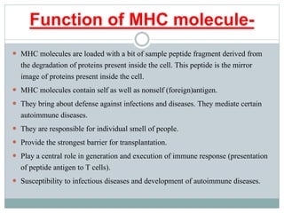 Function of MHC molecule-
 MHC molecules are loaded with a bit of sample peptide fragment derived from
the degradation of proteins present inside the cell. This peptide is the mirror
image of proteins present inside the cell.
 MHC molecules contain self as well as nonself (foreign)antigen.
 They bring about defense against infections and diseases. They mediate certain
autoimmune diseases.
 They are responsible for individual smell of people.
 Provide the strongest barrier for transplantation.
 Play a central role in generation and execution of immune response (presentation
of peptide antigen to T cells).
 Susceptibility to infectious diseases and development of autoimmune diseases.
 