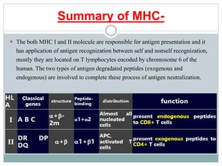 Summary of MHC-
 The both MHC I and II molecule are responsible for antigen presentation and it
has application of antigen recognization between self and nonself recognization,
mostly they are located on T lymphocytes encoded by chromosome 6 of the
human. The two types of antigen degradated peptides (exogenous and
endogenous) are involved to complete these process of antigen neutralization.
 