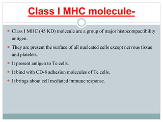 Class I MHC molecule-
 Class I MHC (45 KD) molecule are a group of major histocompactibility
antigen.
 They are present the surface of all nucleated cells except nervous tissue
and platelets.
 It present antigen to Te cells.
 It bind with CD-8 adhesion molecules of Te cells.
 It brings about cell mediated immune response.
 