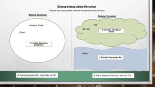 Bidang-bidang dalam Pertanian
Terdapat dua bidang dalam pertanian iaitu tanaman dan ternakan
Bidang Tanaman
Bidang Ternakan
(# Rujuk jawapan dari buku teks m/s 9)
7 contoh tanaman
pertanian
•Buah
4 Contoh Ternakan Air
6 Contoh Ternakan
Darat
(# Rujuk jawapan dari buku teks m/s 10)
•Kelapa Sawit •Itik
•Biri-biri
•Ikan
 