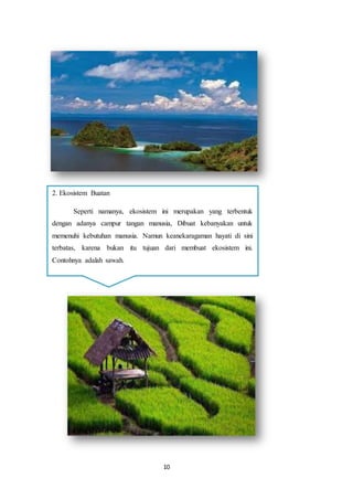 10
2. Ekosistem Buatan
Seperti namanya, ekosistem ini merupakan yang terbentuk
dengan adanya campur tangan manusia, Dibuat kebanyakan untuk
memenuhi kebutuhan manusia. Namun keanekaragaman hayati di sini
terbatas, karena bukan itu tujuan dari membuat ekosistem ini.
Contohnya adalah sawah.
 